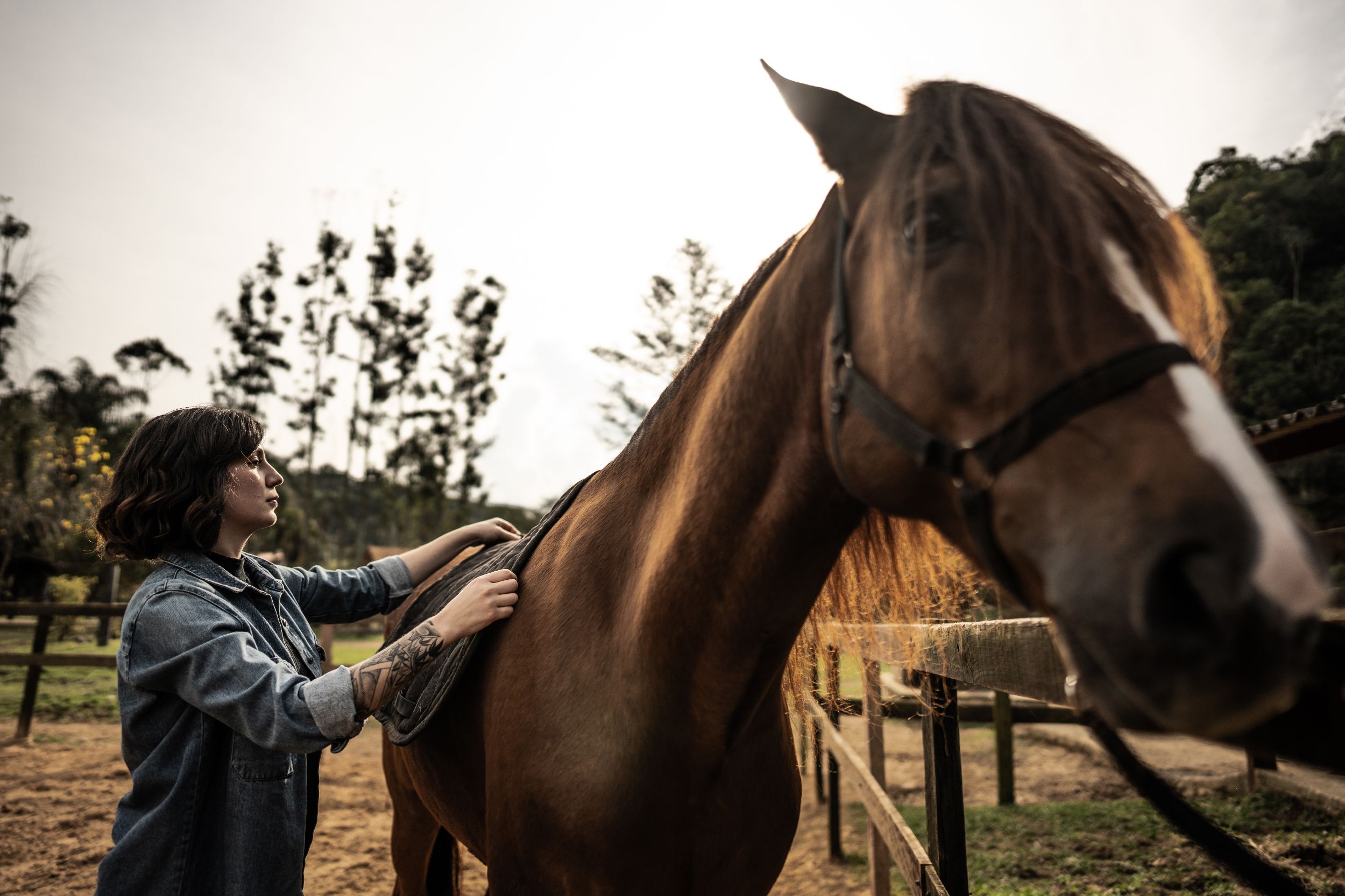 Horse Tack ID Alberta Rural Crime Watch